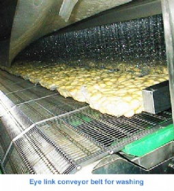 EyeLink Conveyor Belt for washing